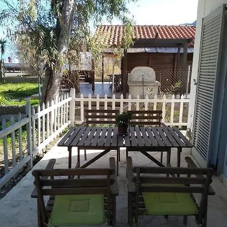 Palm Tree House By The Dom wakacyjny *