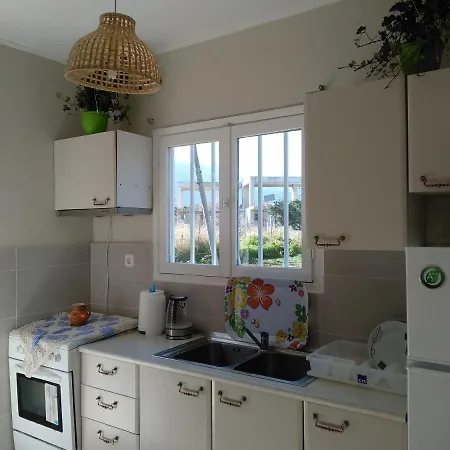 Palm Tree House By The