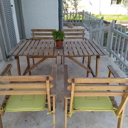 Palm Tree House By The