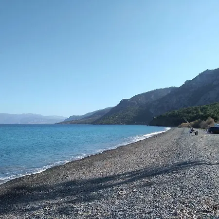 Palm Tree House By The Skhoínos