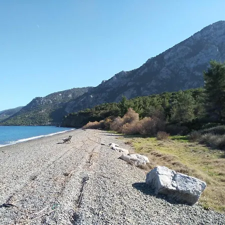 Palm Tree House By The Dom wakacyjny Skhoínos