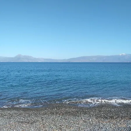 Dom wakacyjny Palm Tree House By The *