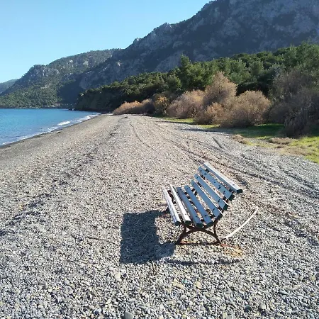 Palm Tree House By The Dom wakacyjny *