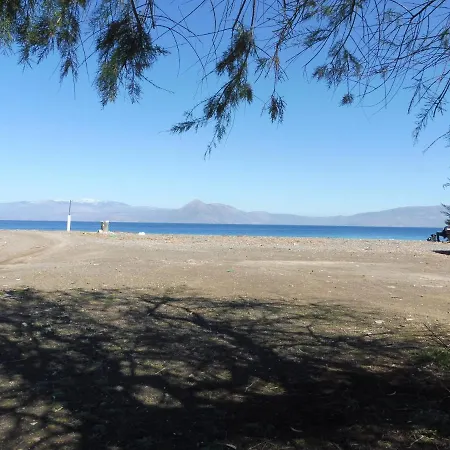 Nyaraló Palm Tree House By The