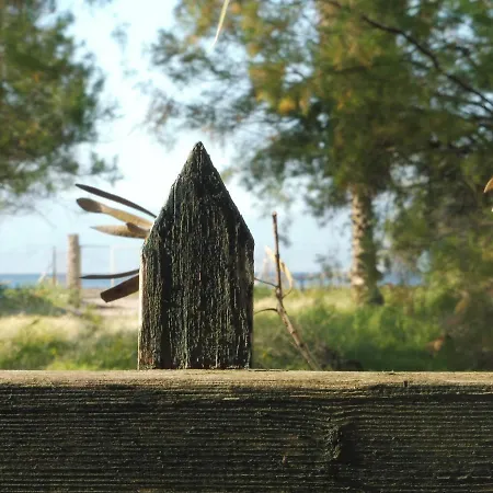 Dom wakacyjny Palm Tree House By The *