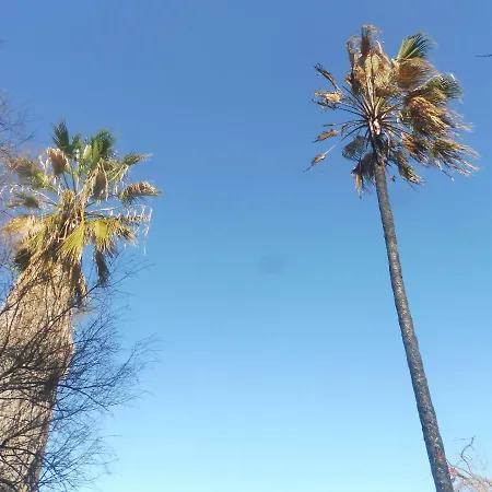 Nyaraló Palm Tree House By The