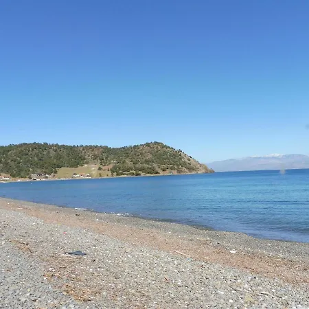 Palm Tree House By The Dom wakacyjny