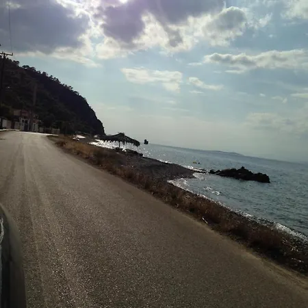 Dom wakacyjny Palm Tree House By The