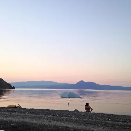 Palm Tree House By The Dom wakacyjny *