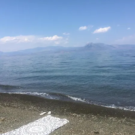 Palm Tree House By The *