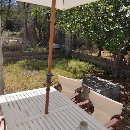 Palm Tree House By The * Skhoínos