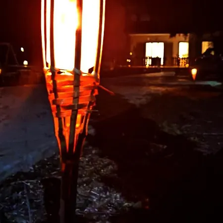 Dom wakacyjny Palm Tree House By The Skhoínos