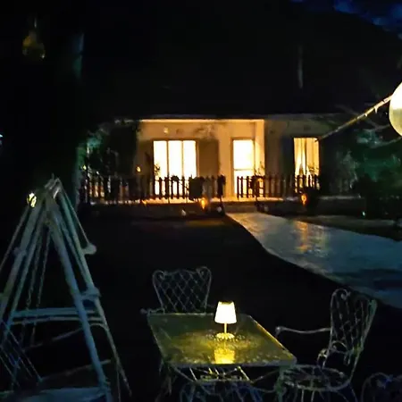 Palm Tree House By The