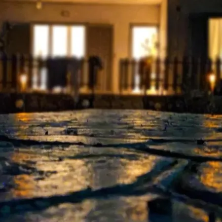 Palm Tree House By The