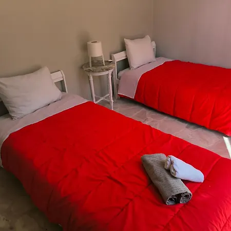 Palm Tree House By The *