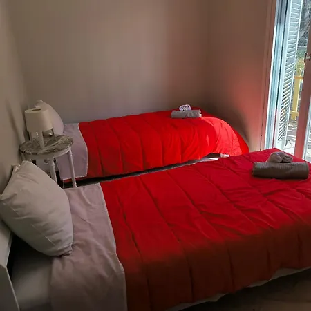 Palm Tree House By The