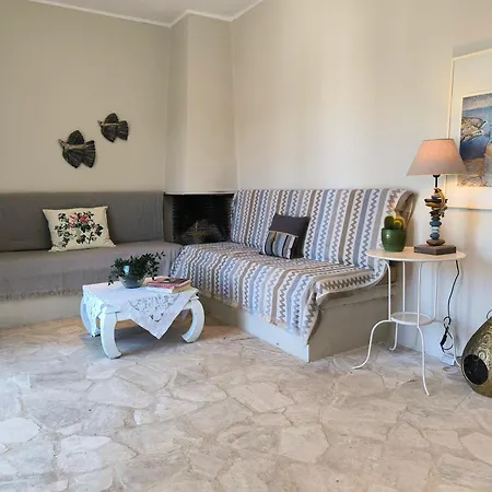 Palm Tree House By The *