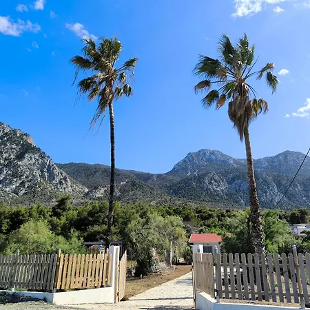 Nyaraló Palm Tree House By The