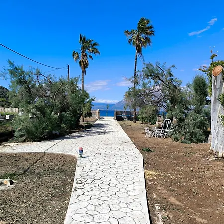 Nyaraló Palm Tree House By The *