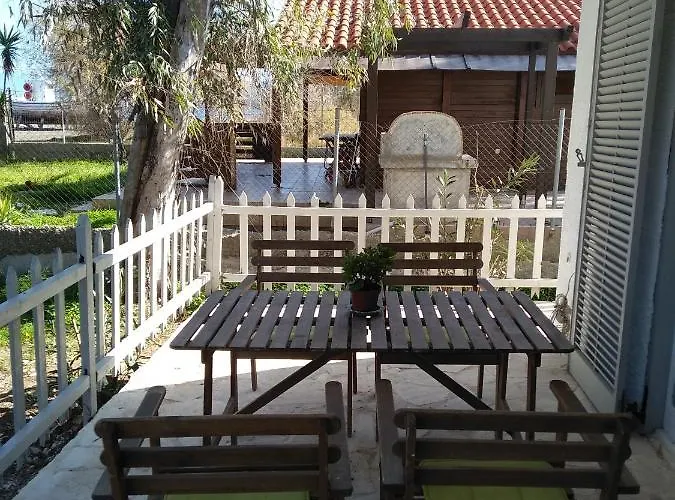 Palm Tree House By The 別荘 *