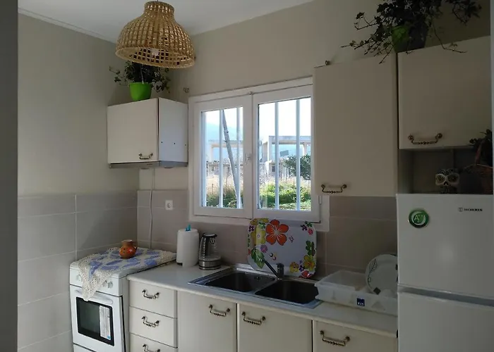 Palm Tree House By The