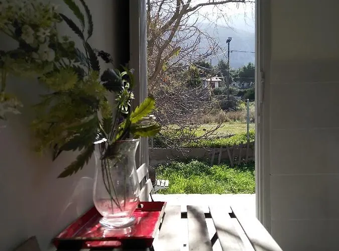 Palm Tree House By The *