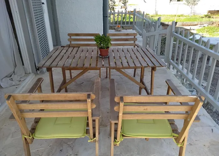 Palm Tree House By The