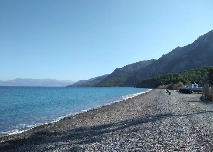 Palm Tree House By The Skhoínos