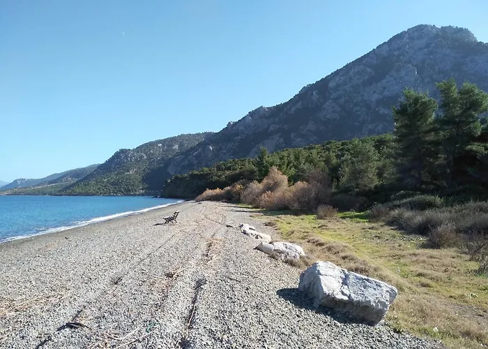 Palm Tree House By The 別荘 Skhoínos