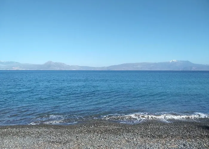 Semesterbostad Palm Tree House By The *