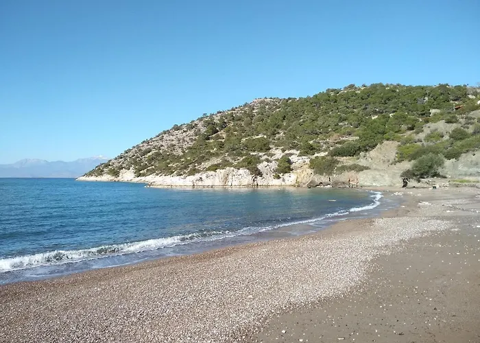 Palm Tree House By The Semesterbostad