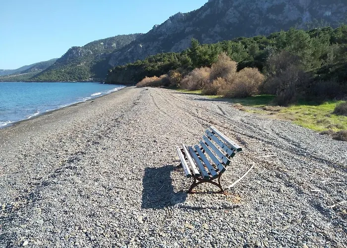 Palm Tree House By The 別荘 *