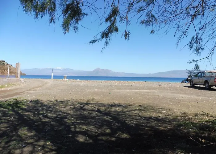 Semesterbostad Palm Tree House By The