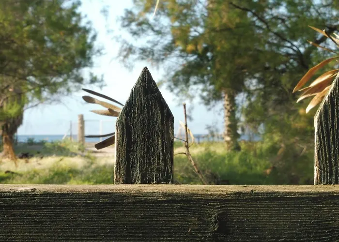 別荘 Palm Tree House By The *