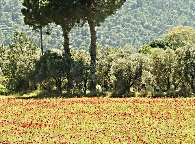 別荘 Palm Tree House By The *