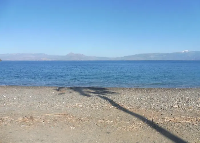 Palm Tree House By The Skhoínos