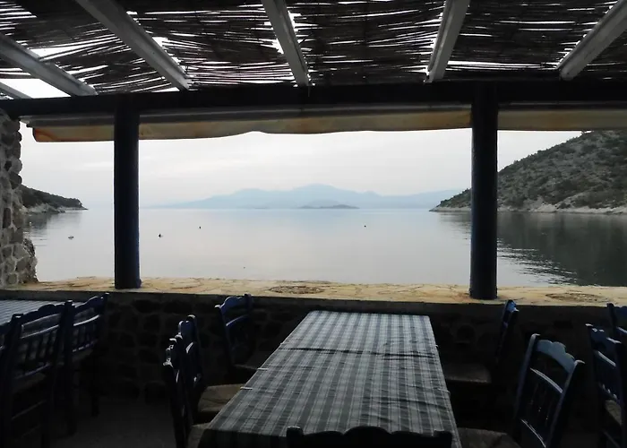 Semesterbostad Palm Tree House By The *