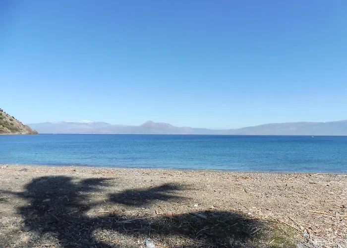 Palm Tree House By The * Skhoínos
