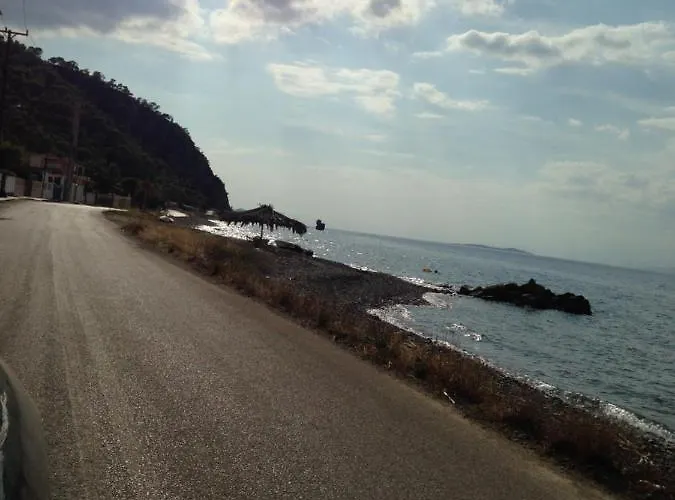 Semesterbostad Palm Tree House By The