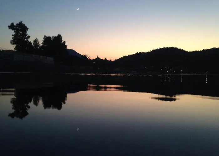 Palm Tree House By The Semesterbostad *