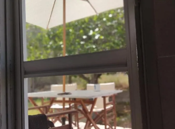 Palm Tree House By The 別荘 *