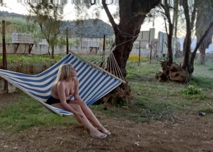 Semesterbostad Palm Tree House By The *