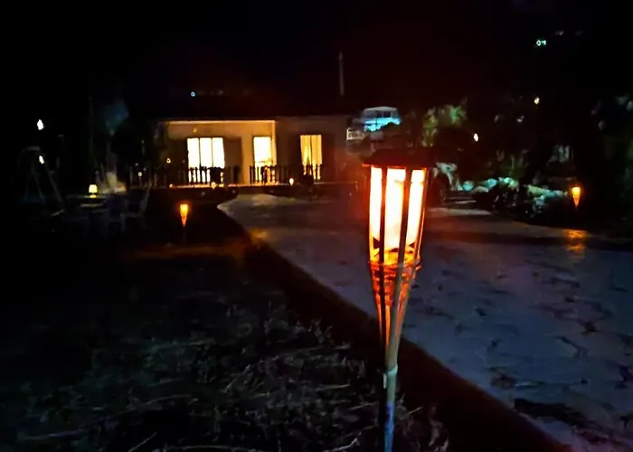 Palm Tree House By The 別荘