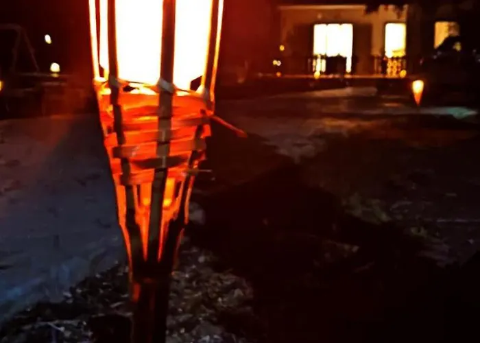 別荘 Palm Tree House By The Skhoínos