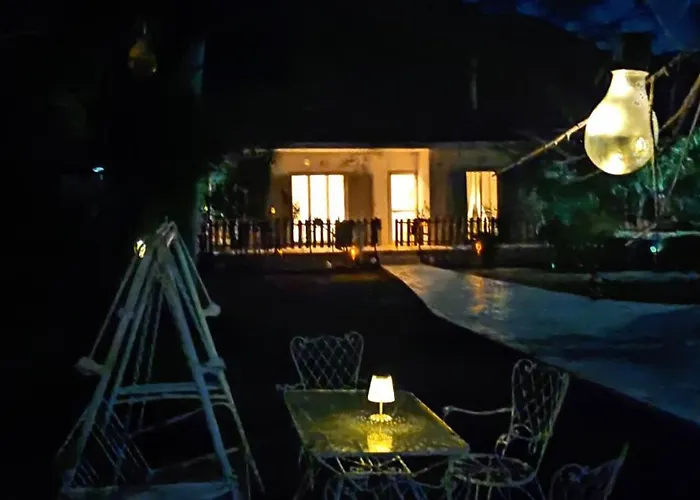 Palm Tree House By The