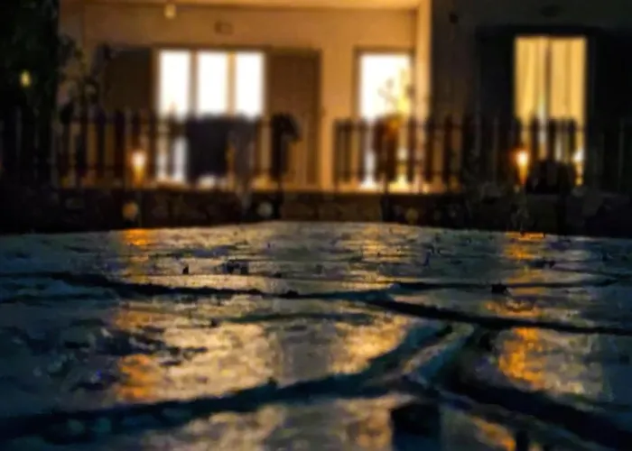 Palm Tree House By The