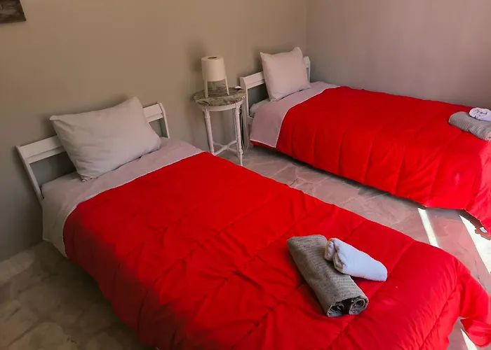 Palm Tree House By The *