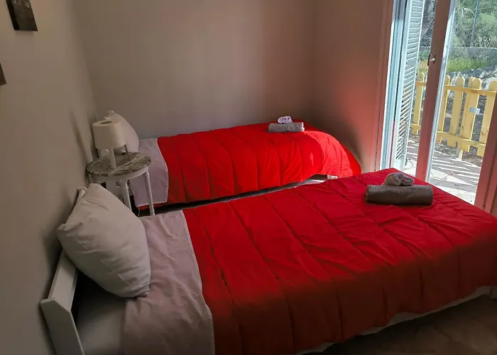 Palm Tree House By The