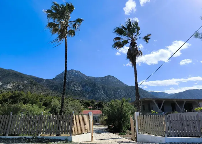 Semesterbostad Palm Tree House By The Skhoínos