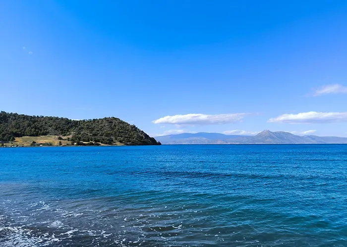 別荘 Palm Tree House By The *